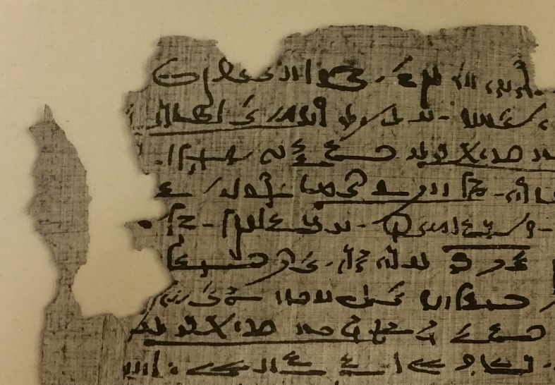 Portion of Papyrus Spiegelberg, col. 7