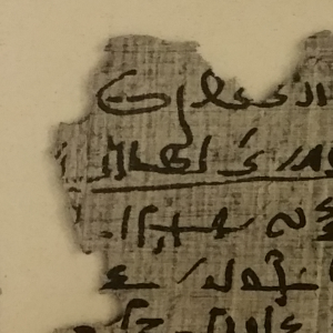 Closeup of Papyrus Spiegelberg, col. 7